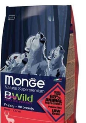 מונג׳ 12 קילו Bwild בטעם צבי לגורים