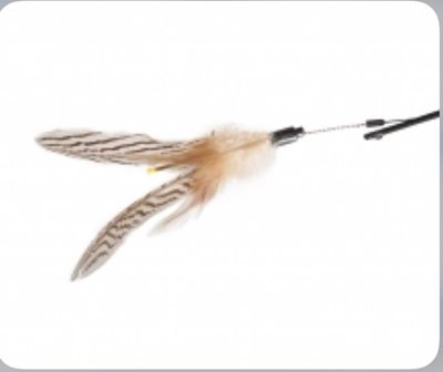 משחק חכה עם נוצה