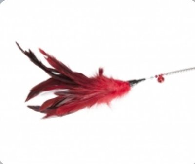 חכת נוצה משחק לחתול