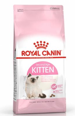 רויאל קנין קיטן 2 קילו