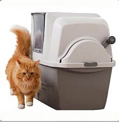 שירותים אוטמוטיים  smart sift