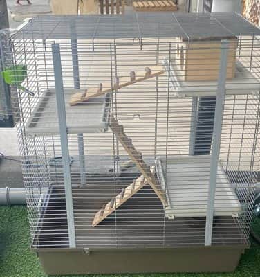 כלוב ענק לצ'ינצ'ילות כולל מקום מסתור