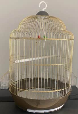 כלוב עגול צבע זהב עם נדנדה מתאים לזוג תוכים קטנים