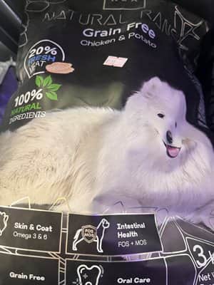 מזון רקס בטעם עוף ואורז ללא גלוטן לכלבים בוגרים 3 ק"ג